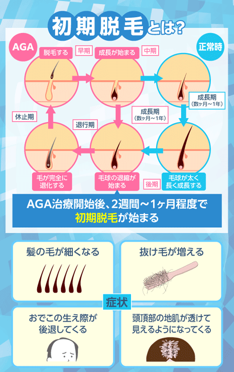 初期脱毛のメカニズムと症状の図解